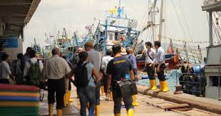 Setting A New Standard In Thailand S Farmed Shrimp Trade The Fish Site