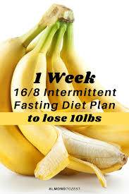 intermittent fasting plan to lose weight