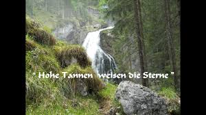 Hohe Tannen Weisen Die Sterne Lieder Und Melodien Die Man Gerne Hort Und Zu Herzen Gehen Lasst Uns Singen Spielen Tanzen U Unterhaltungsmusik Tannen Lieder