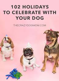 National puppy day 2020 their cuddles and wiggles make us smile and without a doubt, there are squeals of pleasure when there are puppies around. Holidays To Celebrate With Your Dog In 2020 National Pet Day Love Your Pet Day Dog Holiday