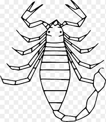 Preferred pest control orange county has over 50 years of industry experience. Pratt Pest Management Pest Control Hydrex Pest Integrated Pest Management Mud Dauber Wasp Size Face Hand Png Pngegg