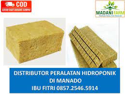 Pin Di Hp Wa 0857 9959 7519