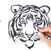In a real fight the tiger might be the winner because it has a lot of advantage against the lion. Https Encrypted Tbn0 Gstatic Com Images Q Tbn And9gcttk2kr9jivr8laypptlcpsdxtyyx Sh7bon5zfdoc Usqp Cau