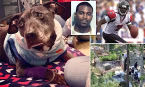 Last surviving dog rescued from ex-NFL quarterback Michael Vick's dogfighting ring dies | Daily Mail Online