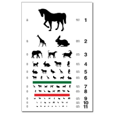 Eye Chart With Animal Silhouettes
