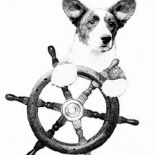 588 likes · 2 talking about this. Breeders Chesapeake Cardigan Welsh Corgi Club
