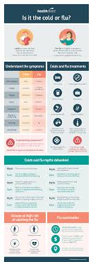 Does the flu shot also prevent. Cold Or Flu Infographic Healthdirect