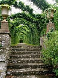 Old Moss Woman S Secret Garden Dublin Ireland Beautiful Places Castles In Ireland Places To Travel