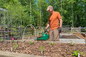 Maybe you would like to learn more about one of these? National Gardening Assoc Survey What Gardeners Think Joegardener