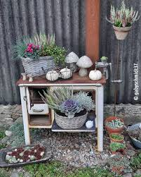 Advent und nach meiner geburtstagsparty. Inspirationen Fur Eine Herbstdeko Mit Kurbis Kreativliste De