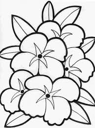 Flowers Coloring Pages For Kids Colouring Pages For Flower Free Printable Flower In 2020 Printable Flower Coloring Pages Hawaiian Flower Drawing Flower Coloring Pages