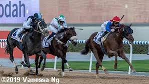 2019 Uae Derby G2 Results