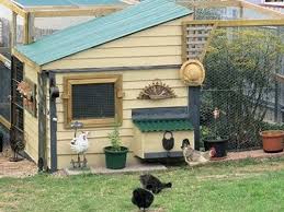 Getting ready to build your first chicken coop? Country Living Readers Chicken Coops Best Chicken Coop Photos