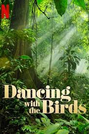 The filmmakers introduce us to individual birds as the male dancers strive to present their best side to females watching nearby. Dancing With The Birds 2019 The Movie Database Tmdb