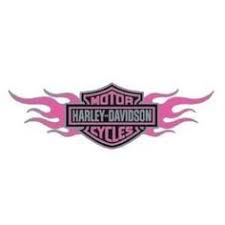 Seller 100% positive seller 100% positive seller 100% positive. Harley Davidson Harley Davidson Logo With Flames Vector