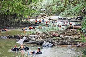 Taman negara is malaysia's oldest and busiest national park. River In Taman Negara Pahang Sungai Relau Merapoh Picture Of Merapoh Adventure Merapuh Tripadvisor