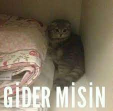 gizli 3 cennette 7 dakika texting mizah cikartma resimler