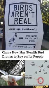 Wake Up California Covzmmzm 2 Surveillance China Now Has Stealth Bird Drones To Spy On Its People Ifunny Drone Funny Spongebob Memes Funny Animal Memes