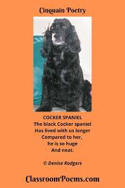 Cinquain Poetry Funny Poems For Kids Poetry For Kids Cinquain Poetry