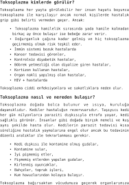 Toksoplazma Toksoplazma Nasil Bulasir Toksoplazma Nedir Toksoplazma Nerede Bulunur Pdf Ucretsiz Indirin