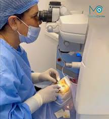 Alt Text is good for SEO