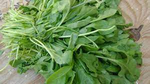ما فوائد الجرجير Watercress Vegetables Spinach