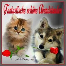 Pin Von Dana Krone Auf Guten Abend Schonen Abend Grusse Abendgrusse Guten Abend Gute Nacht