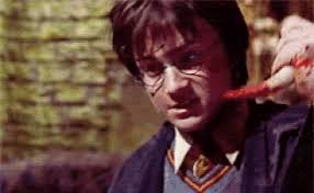 Harry Popper GIF