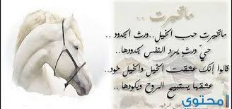 شعر عن الخيل اشعار كتبت عن الخيل حبيبي