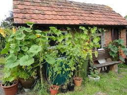 Selbstversorgergarten Interessanter Artikel Selbstversorger Garten Garten Garten Pflanzen