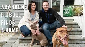Filter by state title state; Abandoned Pitbull Finds A Loving Home New York Bully Crew Youtube