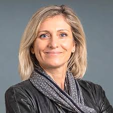 Single-Point Vulnerabilities in Atherosclerotic Plaque∗