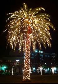 The most prominent part of a christmas tree is the topper, as it completes the picture of the whole decoration. 35 Christmas Palm Trees Ideas Christmas Palm Tree Palm Trees Palm