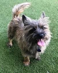 Remove and clean the filter basket and wipe the inside of your portafilters clean many times a day. Laura Renaud Lorenaud Profile Pinterest