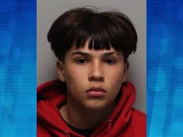 Teen Wanted for Vehicular Homicide by Recklessness Turns Himself in