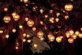 Home Garden Lighting Fairchild Tropical Botanic Garden Lights