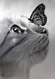We did not find results for: 1001 Ideas And Inspiration On How To Draw Animals