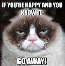If You Re Happy And You Know It Say Meow Click To See More Funny Videos Photos Follow Cute Cat Today Cats Funn Funny Grumpy Cat Memes Grumpy Cat Quotes Funny Cat Pictures