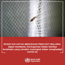 Balasan meringankan beban orang lain. World Malaria Day