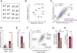 When you have to make words with these letters that you have, you won't always have the space or available hooks to play a. A Compositional Letter Code In High Level Visual Cortex Explains How We Read Jumbled Words Biorxiv