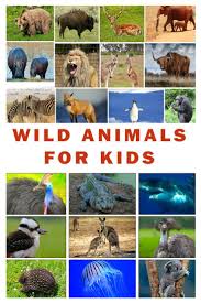 Wild Animals Name And Sound For Kids Fun Educational Learning Video With Old Macdonald Song In 2020 Animals Wild Wild Animals Pictures Wild Animal Sounds