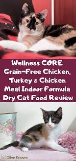 Wellness Core Grain Free Chicken Turkey Chicken Meal Indoor Formula Dry Cat Food Review Oliveknows Cat Food Reviews Dry Cat Food Cat Food