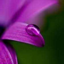 See what قطرات الندى (nosimateljana223634) has discovered on pinterest, the world's biggest collection of ideas. O Xrhsths Ù‚Ø·Ø±Ø§Øª Ø§Ù„Ù†Ø¯Ù‰ Sto Twitter Almohisni A La Homa Ameen