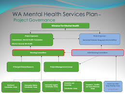 The department of health is a western australian government department responsible for regulating and advancing health within the state. Dr Aaron Groves Principal Clinical Lead I Acknowledge The Traditional Owners Of The Land On Which We Meet Today The Wajuk People Of The Noonygar Nation Ppt Download