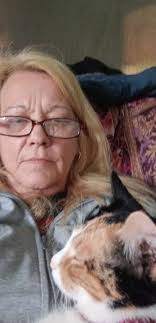 Lost Black Toy Poodle Female