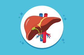 Hepatitis a adalah peradangan infeksi organ hati yang disebabkan oleh virus hepatitis a. Inilah Yang Dimaksud Dengan Hepatitis A