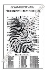 Amazon Com Fingerprint Poster Office Products Spy Week