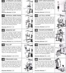 Gold U S Gym Xrs 50 Exercise Chart Pdf Www