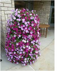 Striking Petunia Centerpiece Ideas For Garden Design And Yard Landscaping Matchness Com Flower Tower Flower Pots Plants