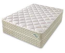 Check spelling or type a new query. Doctor S Choice Elite Firm Mattress Firm Mattress Mattress Plush Mattress
